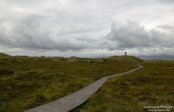 Bohlenweg durch die Dünen zum Quermarkenfeuer, Regenwolken, Amrum, Deutschland