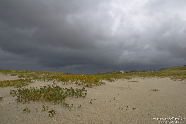 Regenwolken, Strand und Dünen, Amrum, Deutschland