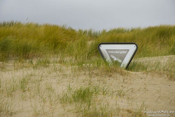 Schild “Naturschutzgebiet” vom Flugsand blank geschliffen und halb in den Dünen versunken, Amrum, Deutschland