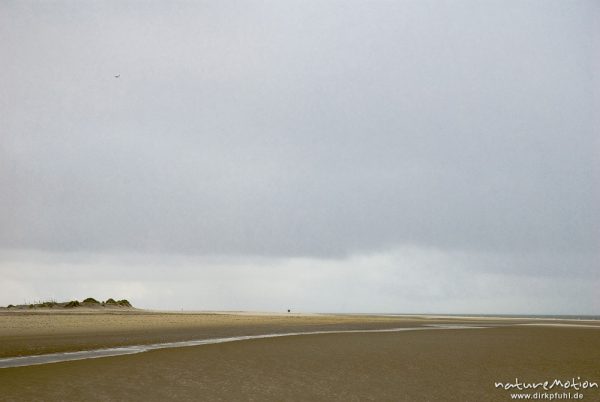 Regenwolken, Strand und Dünen, Amrum, Deutschland