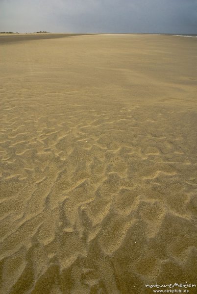 Sandrippel, Regenwolken, Strand und Dünen, Amrum, Deutschland