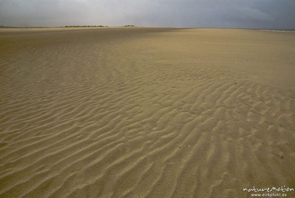 Sandrippel, Regenwolken, Strand und Dünen, Amrum, Deutschland