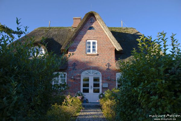 Haustür, Backsteinhaus mit Reetdach, Vorgarten, Nebel, Amrum, Deutschland