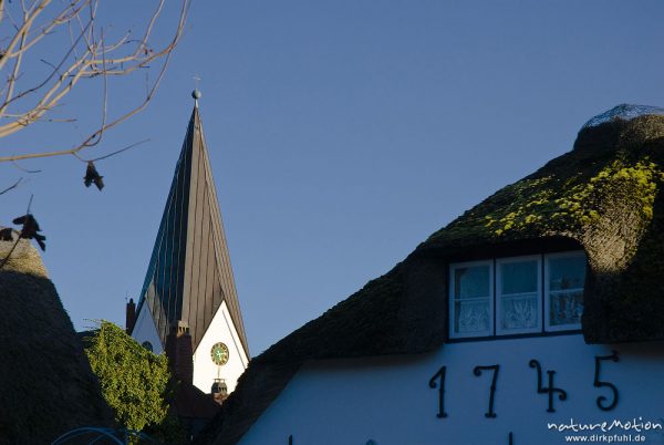 Kirchturm von nebel, Reet gedecktes Dach, Nebl, Amrum, Deutschland