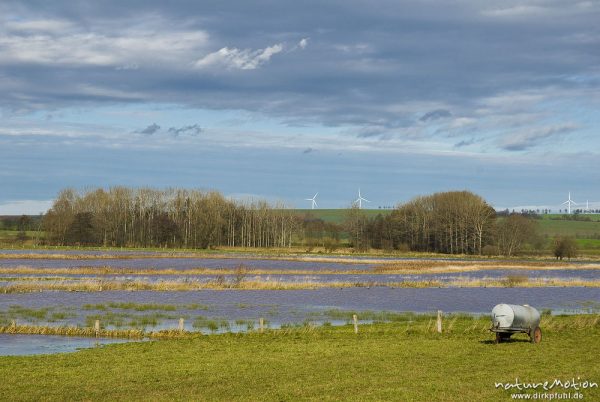 Seeanger, überschwemmte Wiesen, wiedervernässter Überschwemmungsbereich der Aue vor deren Einmündung in den Seeburger See, Seeburger See, Deutschland