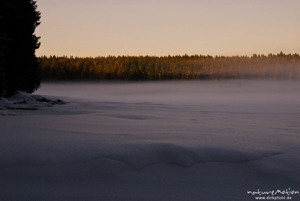 Nebel über dem zugefrorenen Oderteich, letztes Tageslicht, vom Sonnenuntergang orange gefärbt, Eiskristalle, Schneeverwehungen, Harz, Torfhaus, Deutschland