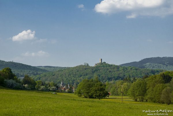 Burg Königstein, Wiesental bei Schneidhain, Königstein im Taunus, Deutschland