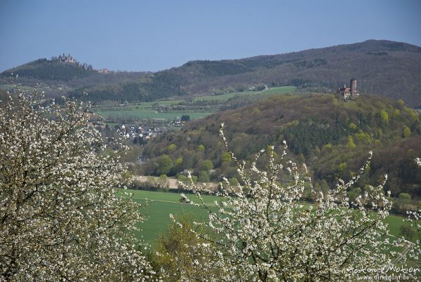 Burg hanstein und Burg Ludwigstein, Blick durch blühende Kirschbäume über das Werratal, Wendershausen bei Witzenhausen, Deutschland