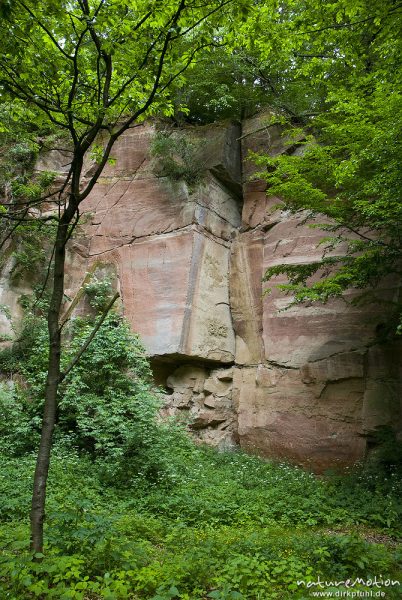 Sandsteinfelsen, östliche Abbruchkante des Göttinger Muschelkalkplateaus mit darunter liegender Buntsandsteinformation, Mackenrode bei Göttingen, Deutschland