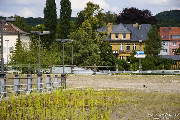 Ausfahrt, Parkhaus Goßlerstraße, oberste Etage, kaum genutzt, von Ruderalpflanzen überwuchert, Göttingen, Deutschland