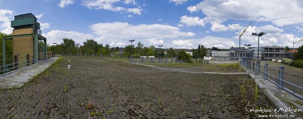 Parkhaus Goßlerstraße, oberste Etage, kaum genutzt, von Ruderalpflanzen überwuchert, Göttingen, Deutschland