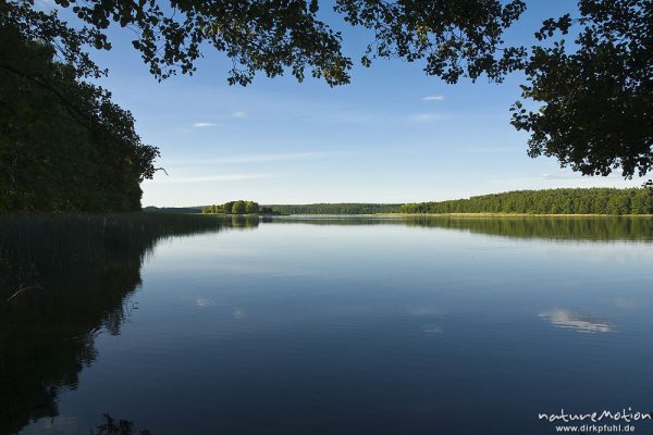 Blick auf den Käbelicksee, ruhiges Wasser, Abendlicht, Kratzeburg, Deutschland