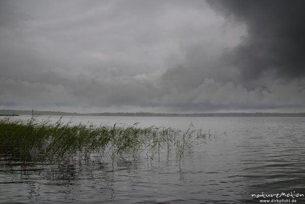 Regenwolken über dem Käbelicksee, Kratzeburg, Deutschland