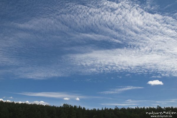 kleine Schäfchenwolke, Cirrocumulus stratiformis, Wolkenformation, Babke, Deutschland
