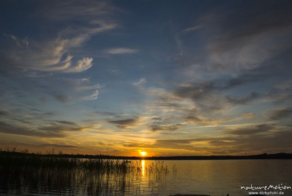 Sonnenuntergang am Käbelicksee, Wolkenformationen, Schilfsaum, Kratzeburg, Deutschland