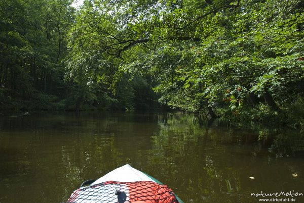 Flusslauf mit Weichholzaue und Ufervegetation, Havel zwischen Görtowsee und Zierzsee, Bug eines Kajaks, Blankenförde, Deutschland