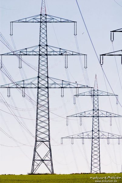 Hochspannungsleitung, 110 kV Leitung, inmitten von Feldern mit frisch ausgetriebenem Wintergetreide, Diemeltal bei Trendelburg, Trendelburg, Deutschland