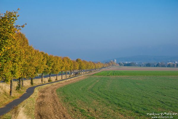 Radweg entlang Bundesstrasse, Baumallee in Herbstfärbung, Fluchtpunkt Neues Rathaus, Göttingen, Deutschland