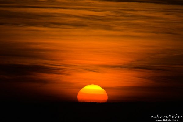 Sonne versinkt als rote Scheibe hinter dem Horizont, roter Himmel, Göttingen, Deutschland
