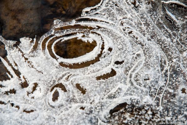 Auge aus Eis, Eisskulptur am Ufer eines Bachlaufs, Niemetal, A nature document - not arranged nor manipulated, Löwenhagen, Deutschland