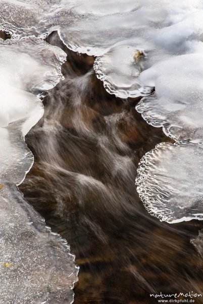 vereister Bachlauf, Wasser fliesst unter Eisschollen hindurch, Löwenhagen, Deutschland