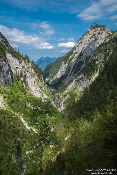 Bergtal, Höllentalklamm, Blick vom oberen Teil Richtung Tal, rechts Hupfleitenjoch, Wetterstein, Garmisch-Partenkirchen, Deutschland