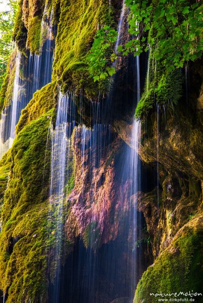 Schleierfälle, Wasserfälle Tal der Ammer, Quellbach bildet im Zusammenspiel von Kalkstein und Moosen eigene, "wachsende" Gesteinsformationen, Achele bei Saulgrub, Deutschland
