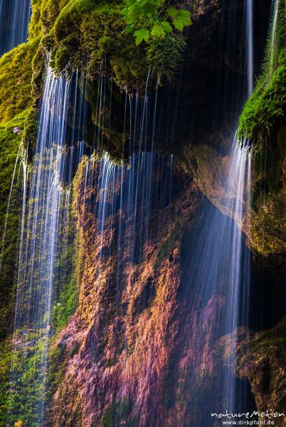 Schleierfälle, Wasserfälle Tal der Ammer, Quellbach bildet im Zusammenspiel von Kalkstein und Moosen eigene, "wachsende" Gesteinsformationen, Achele bei Saulgrub, Deutschland