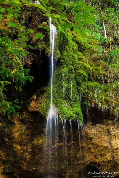 Schleierfälle, Wasserfälle Tal der Ammer, Quellbach bildet im Zusammenspiel von Kalkstein und Moosen eigene, "wachsende" Gesteinsformationen, Achele bei Saulgrub, Deutschland