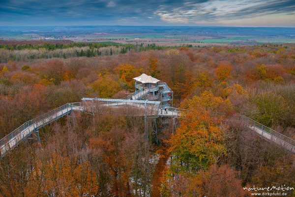 Baumkronenpfad Nationalpark Hainich, Herbstwald mit dünner Schneedecke, Rot-Buchen, Eichen und Kastanien, Laubfärbung, Craula, Deutschland