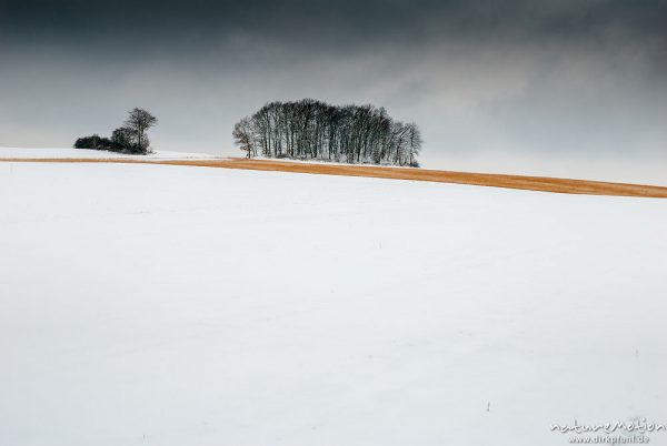 Äcker und Wiesen, bedeckt von Schnee, Nebel, Lichtenhagen bei Göttingen, Deutschland