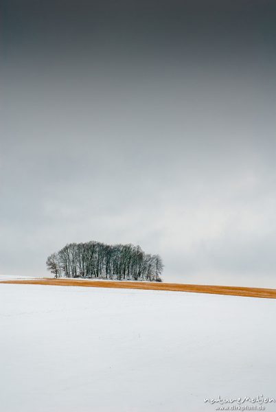Äcker und Wiesen, bedeckt von Schnee, Nebel, Lichtenhagen bei Göttingen, Deutschland