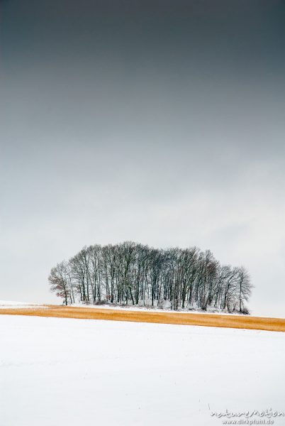 Äcker und Wiesen, bedeckt von Schnee, Nebel, Lichtenhagen bei Göttingen, Deutschland