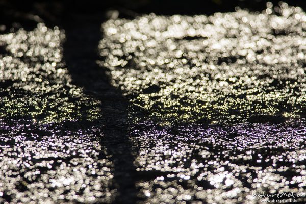 Lichtreflexe auf Wasseroberfläche, Schatten eines Baumstammes am Ufer, Niemetal, Löwenhagen, Deutschland