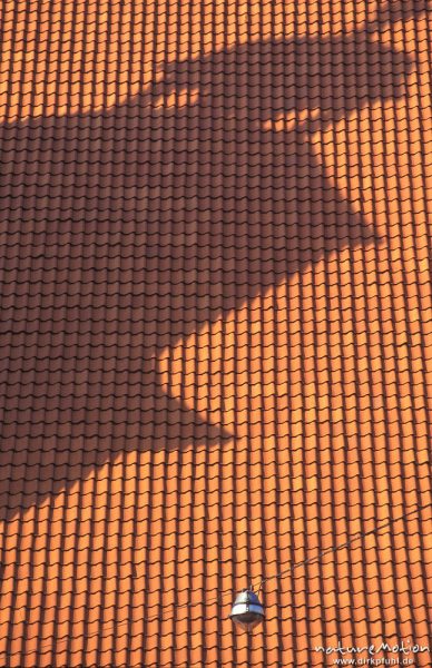 Marienkirche, Schatten des Kirchturms auf rotem Ziegeldach, Göttingen, Deutschland