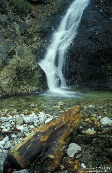 Wasserfall bei Mittenwald, Baumstamm im Vordergrund, Alpen, Deutschland