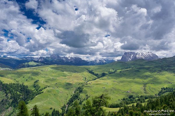 Almwiesen mit Hütten, Seiseralm, Geissler-Gruppe, Langkofel, Plattkofel, Seiseralm (Südtirol), Italien