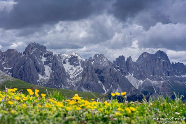 Rosengarten, Dolomiten, Seiseralm (Südtirol), Italien