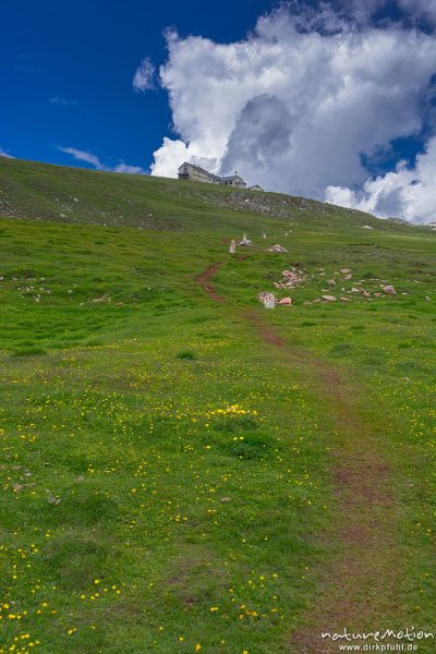 Trampelpfad am Schlernhaus, Dolomiten, Seiseralm (Südtirol), Italien