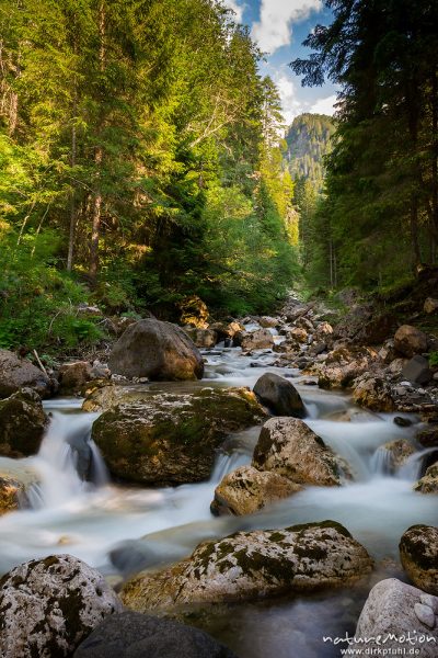 Gebirgsbach, Kalkfelsen, Kiefernwald, Freddo-Bach bei Bad Ratzes, Seis (Südtirol), Italien