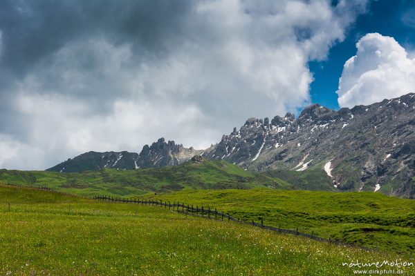 Almwiese mit Zaun, Seiseralm, Rosszähne, Seiseralm (Südtirol), Italien