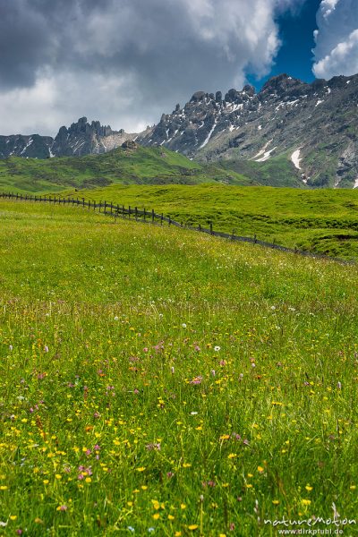 Almwiese mit Zaun, Seiseralm, Rosszähne, Seiseralm (Südtirol), Italien