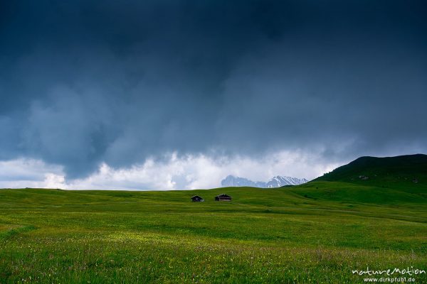 Gewitterwolken, Hütten und Almwiesen, Langkofel und Plattkofel, Seiseralm (Südtirol), Italien