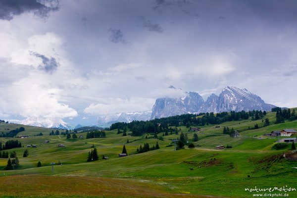 Seiseralm, Langkofel, Plattkofel, abziehendes Gewitter, Seiseralm (Südtirol), Italien