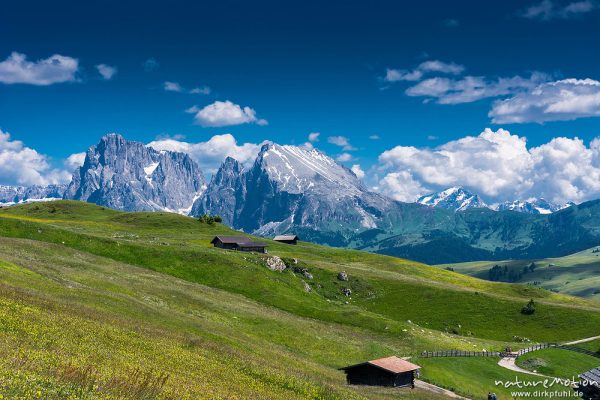 Seiseralm mit Langkofel und Plattkofel, Puflatsch, Seiseralm (Südtirol), Italien