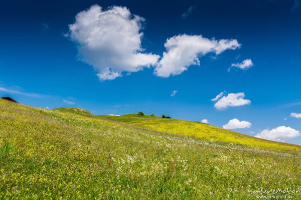 blühende Almwiese, Wolken, Puflatsch, Seiseralm (Südtirol), Italien