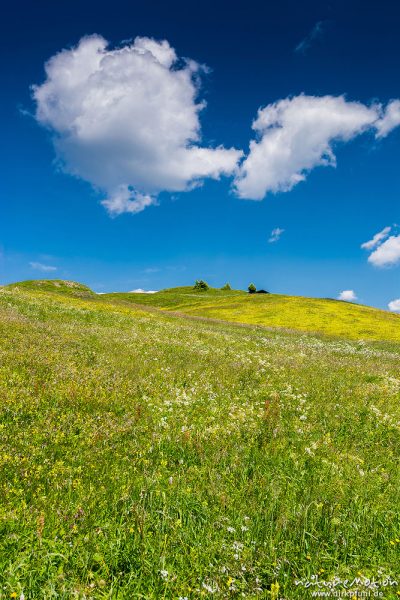 blühende Almwiese, Wolken, Puflatsch, Seiseralm (Südtirol), Italien