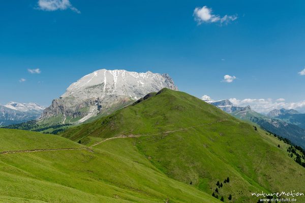 Plattkofel, Sella, Weg zwischen Plattkofelhütte und Tierser Alpl Hütte, Seiseralm (Südtirol), Italien