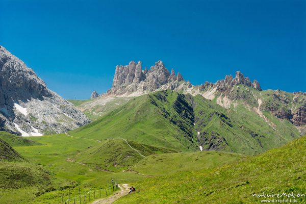 Rosszähne, Weg zwischen Plattkofelhütte und Tierser Alpl Hütte, Seiseralm (Südtirol), Italien
