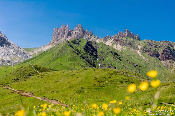 Rosszähne, Weg zwischen Plattkofelhütte und Tierser Alpl Hütte, Seiseralm (Südtirol), Italien